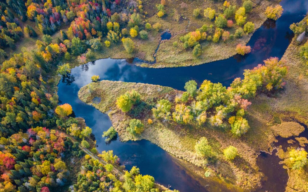 UAV Remote Sensing Conference – MAY 2021! ALERT ALERT!