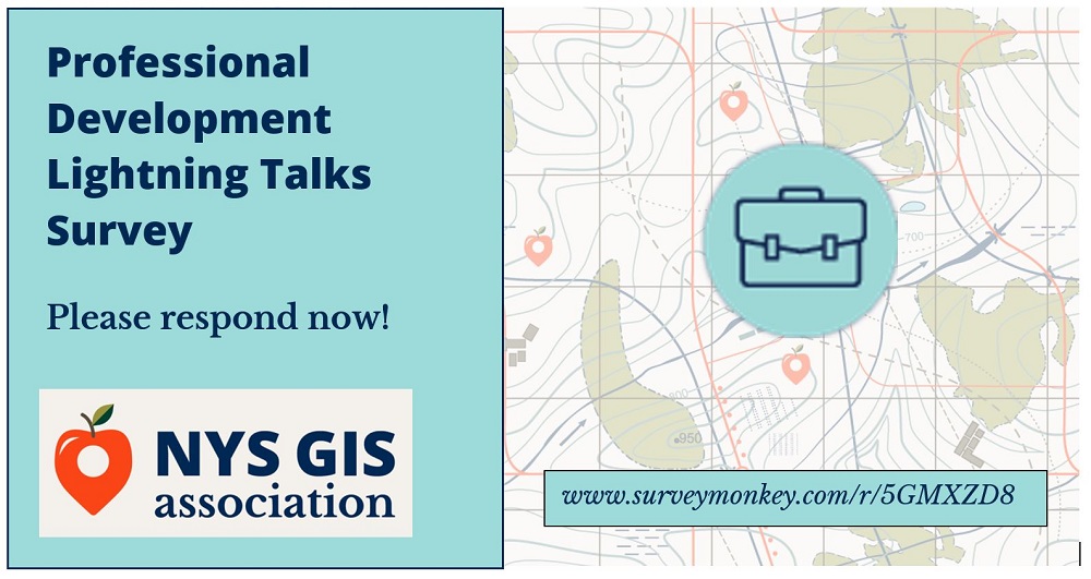 Professional Development Opportunity