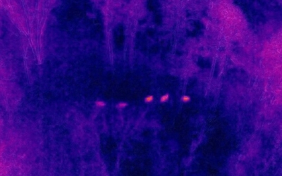 eSpatially – Geospatial Student Spotlight: Christopher Plummer