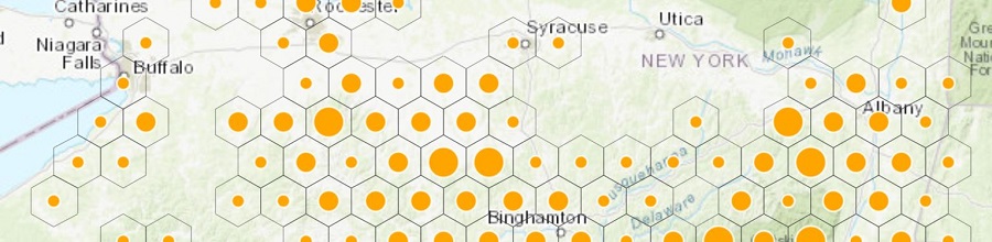 Join the HWA Winter Mapping Challenge!