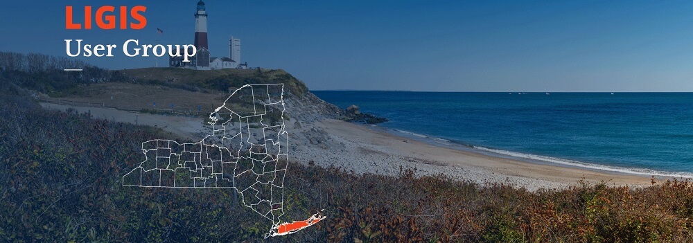 Register for the LIGIS 2022 Spring Virtual Conference!