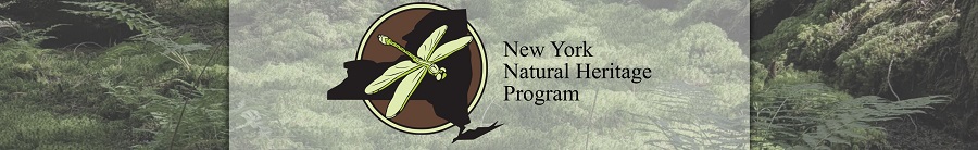 NY Nat’l Heritage Pgm Announces Summer Field Positions